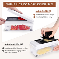Ensemble de hachoir à légumes multifonctionnel, mandoline, trancheuse, lames en acier inoxydable, récipient en PP, coupe-légumes pour la cuisine