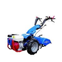 Cultivador rotativo BCS de alta calidad, marca italiana, mini cultivador eléctrico BCS, herramienta de construcción de un solo rotor, 60cm