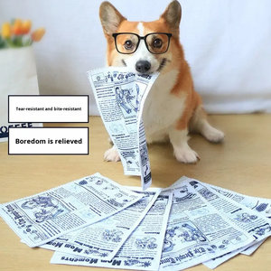 Giocattolo per cani a forma di giornale, resistente agli strappi, di qualità superiore, con squeaker, per stimolazione mentale e gioco quotidiano. - Product Image 2