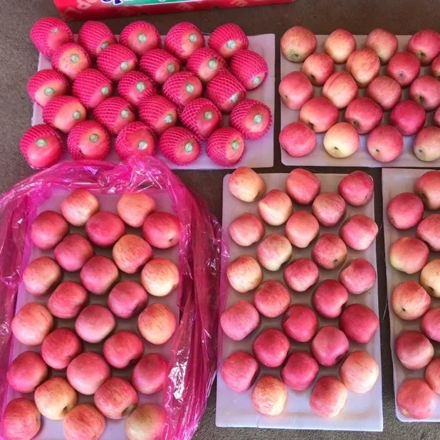 2020 NEW CROP PINK COLOR HIGH QUALITY PAPER BAGGED FUJI APPLE