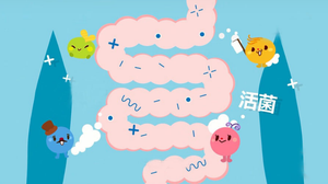 Bahan Baku Bubuk Probiotik Lactobacillus Fermentum 5-1L Potensi Tinggi untuk Suplemen Kesehatan - Product Image 4