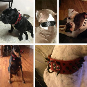 Vendedor caliente Sharp Spiked Studded <span class=keywords><strong>Dog</strong></span> Collar-Collares de cuero con estilo para perros-2 pulgadas de ancho Fit Perros medianos y grandes - Product Image 6