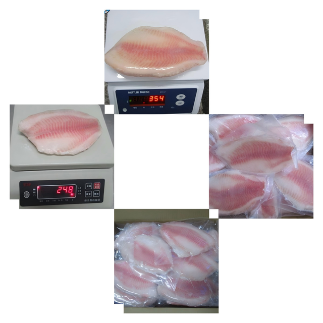 SANFENG SEAFOOD Export Ready Frozen Tilapia Fillet for International Seafood Distributors