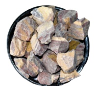 Ornement en bois pétrifié naturel en gros, décoration d'intérieur, cadeau en cristal cool, cadeau idéal pour Pâques, Noël, Saint-Valentin