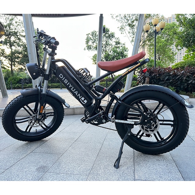 Disiyuan 20 Inch Super S9 Plus Cargo Mtb Electric Bike 48V Fat Tire Electric Bicycle V20 Bike Electric Mountain Bike 1000W 500W