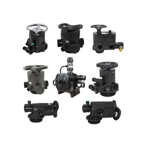 WaterTreatment Control Valve RUNXIN Water Manual/Automatic Softener Valve for Residential Softening system
