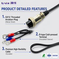Câble de raccordement industriel GX12 Aviation Plug vers borne à joint torique de type R, connecteur aviation à verrouillage par vis, faisceau de câbles OEM ODM, usine