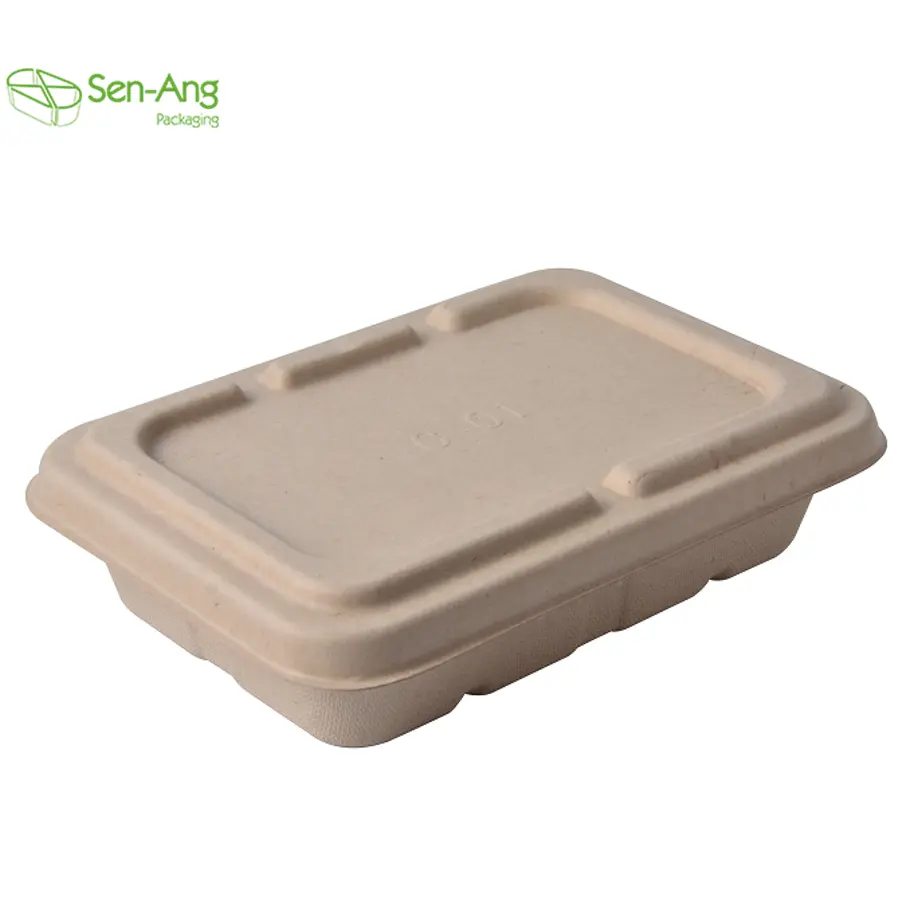 SenAng05 Auf Lager Lebensmittel Zuckerrohr Zellstoff Lunchbox zum Mitnehmen Zuckerrohr Rechteck Behälter