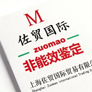 Servicio de Envío Exprés LCL Internacional de Zuomao para Mercancías Generales de China con Despacho de Aduanas Global - Product Image 3