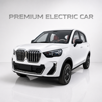 SUV électrique compact pour ville, petite taille, 5 portes, véhicule à énergie nouvelle, stationnement facile, conduite à gauche/droite, voiture électrique