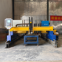 JINAN Work Wide Machine de découpe à la flamme CNC à portique robuste de 3000 mm à bon prix