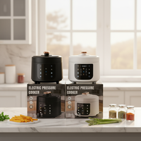 Cuisinière à pression électrique de haute qualité 5L 900W, marmite multifonction intelligente avec soupape de sécurité, cuiseur à riz numérique pour soupes