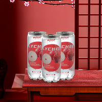 Boissons gazeuses aromatisées au litchi, vente en gros, jus de fruits Rani, jus de pastèque, sirop frais, jus de fruits et légumes au fructose, en provenance de Chine