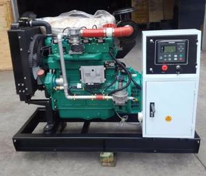 Generador de Biogás de 20kw con Estructura Abierta <span class=keywords><strong>Gesnet</strong></span> para Gas Metano/Gas Natural/GLP - Product Image 1