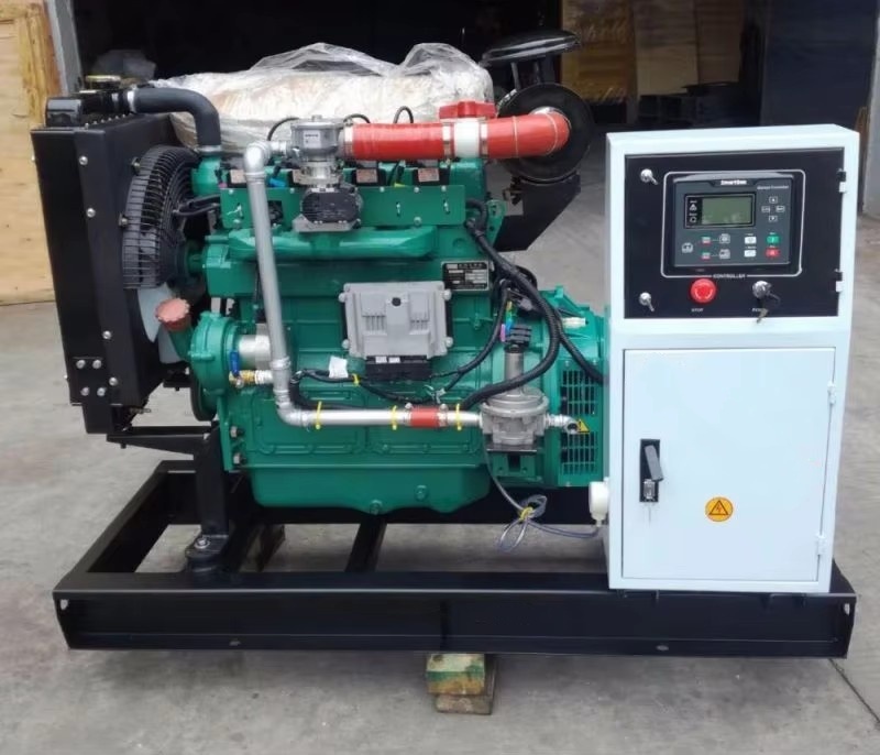 100kw LPG Biogas Natural Gas Biogas