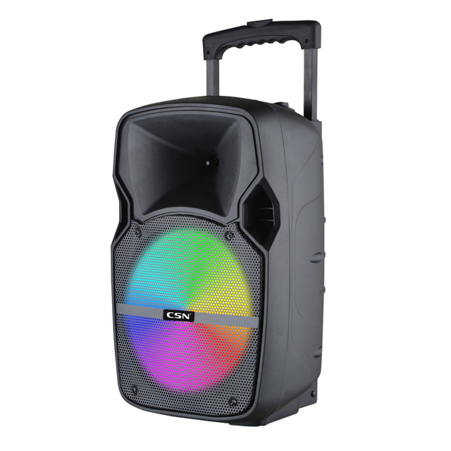CSN-10-2 8/10/12/15 Inch High Power Portable Outdoor Trolley Party Speaker with RGB Disco LED Light