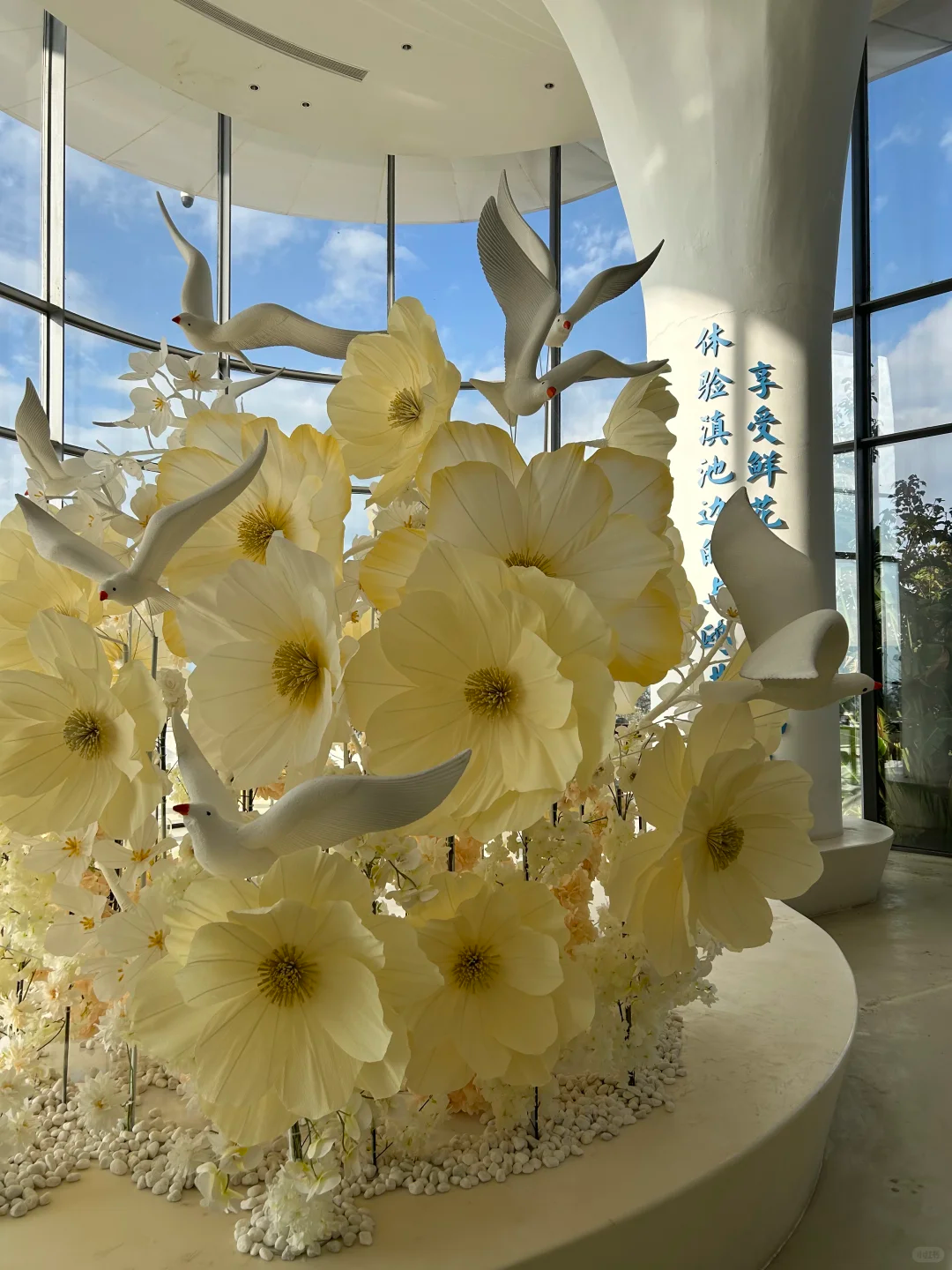 Fleur de pavot jaune unique