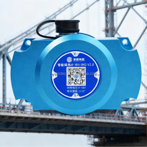 Slimme Digitale Hellingsmeting Voor Bruggen, Torens, Gebouwen En Structureel Gecompromitteerde Constructies - Product Image 1