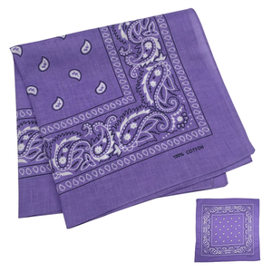 <span class=keywords><strong>En</strong></span> gros 22 * 22in Coton Paisley Hip Hop Bandana Foulard Personnalisé Imprimé Cowboy Bandeaux Hommes Mouchoirs pour Usage Extérieur - Product Image 2