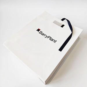 Sacs en papier personnalisés de qualité supérieure, sacs cadeaux de luxe pour bijoux, sacs de shopping avec ruban et logo privé imprimé, en carton - Product Image 4