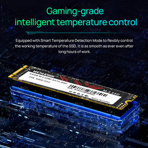 M.<span class=keywords><strong>2</strong></span> Sata SSD NGFF 2TB 1TB 128GB 256GB 512GB Disco de Estado Sólido SSD M2 para Laptop Computador PC Disco Rígido - Product Image 6