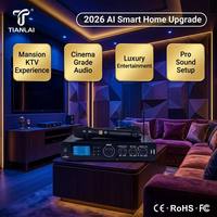 TIANLAI Profesyonel Karaoke Amfisi, Çift Kablosuz UHF Mikrofonlu, Bluetooth 5.0 DSP Ses Sistemli, Ev KTV Partileri için