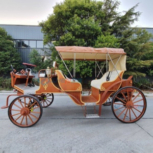 <b>Double</b>-row Luxury Electric Sightseeing Carriage/top Quality Factory Direct Sightseeing Carriage - Product Image 6
