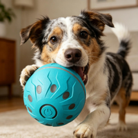 Balle de Luxe Automatique Moderne pour Animaux de Compagnie, Jouet à Mâcher en Plastique pour l'Auto-Entretenement, Article Tendance TikTok, Balle de Tirage Durable pour Chiens et Chats