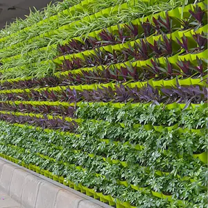 バルコニーの装飾のためのバルク積み重ね可能な自己散水ポットの水耕栽培システムフラワーポット