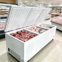 Congélateur Commercial YUANDA -40 Degrés à Refroidissement Direct, Porte Supérieure, Dégivrage Automatique, pour Stockage de Fruits de Mer, Viande et Poisson