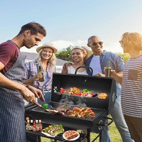Chariot de jardin en acier inoxydable de haute qualité, barbecue au charbon de bois avec broche à poulet électrique, intérieur/extérieur, sans fumée