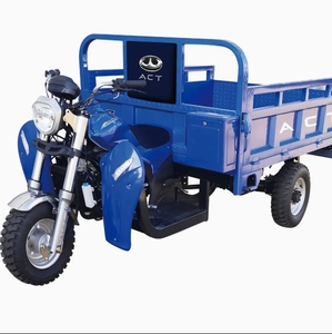 Suministro de China, venta al por mayor, personalizado, 3 ruedas, 200cc, 250cc, triciclo de carga, motorizado, agricultura, gasolina, triciclo, motocicleta - Product Image 4