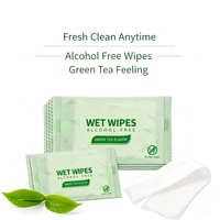 Tisu Basah Ramah Lingkungan Ekstra Lembut Non-Woven Sachet Tunggal Sekali Pakai untuk Kebersihan Rumah Tangga dengan Logo Kustom