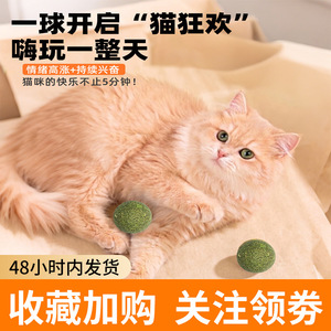 Balle à la catnip 14g, collation pour chats, nettoyage des dents, soulagement des boules de poils, jouet interactif - Product Image 2
