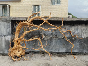 15-35cm Natural Bonsai Cuco Raiz Deriva Ramos De Madeira Do Aquário Roost Aquário Decorativo Deriva Madeira Aquascape - Product Image 2