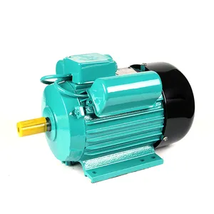Yl Series High Torque Low Rpm 220v 240V 1440rpm Two Value Motors 0.25kw 0.34hp Single Phase Electric Ac Motor