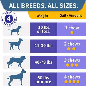 Masticables Probióticos para Perros para la Salud Intestinal y el Apoyo Inmunológico - Absorción Rápida 2.2g/Unidad para Todas las Etapas de Vida - Product Image 5