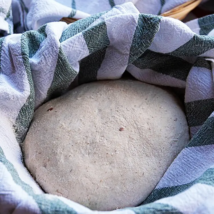 Creare bagel freschi ogni giorno con il nostro lievito secco istantaneo da 500g: lievito di pane soluzione di fermentazione perfetta del fornitore di lievito di porcellana