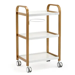 Hot Sales Gratis Verzending Medische Apparatuur Trolley Schoonheidssalon Spa Apparatuur Gezicht Hand Trolley