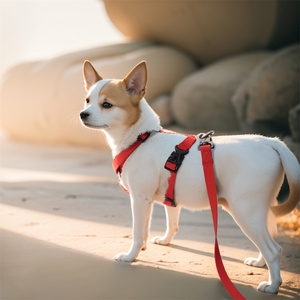 Et Arness at hhest Trap trampa Ype oogs traps trampas ututdoor alalking eat elelts - Product Image 6