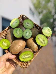 <span class=keywords><strong>Kiwi</strong></span> frais <span class=keywords><strong>Hayward</strong></span>, délicieux <span class=keywords><strong>kiwi</strong></span> frais, vente en gros - directement du fournisseur - Product Image 4