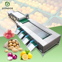 Mangosteen, champignon, rol-sorteer-, reinigings-, droog- en sorteermachine voor avocado's, wortelen en aardappelen op basis van formaat