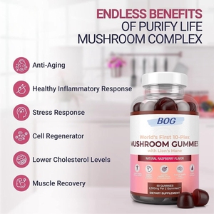 Gomitas de Hongos 10-Plex con Melena de León OEM/ODM |   Suplemento Vegano de 2500mg para el Apoyo Inmunológico, Estimulación Cerebral y Antioxidante - Product Image 5