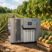 Longan Lychee Droogmachine Warmtepomp Fruitdroger voor de Aziatische Theemarkt