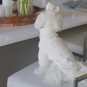 Suministros para mascotas Qiqu, suéteres para perros de nuevo diseñador personalizados, ropa para cachorros, camisa para perros malteses para perros pequeños y medianos, Chihuahua Poodle - Product Image 6