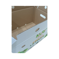 Boîtes en papier de fruits et légumes de haute qualité avec poignées, carton ondulé et épaissi, carton de papier sur mesure
