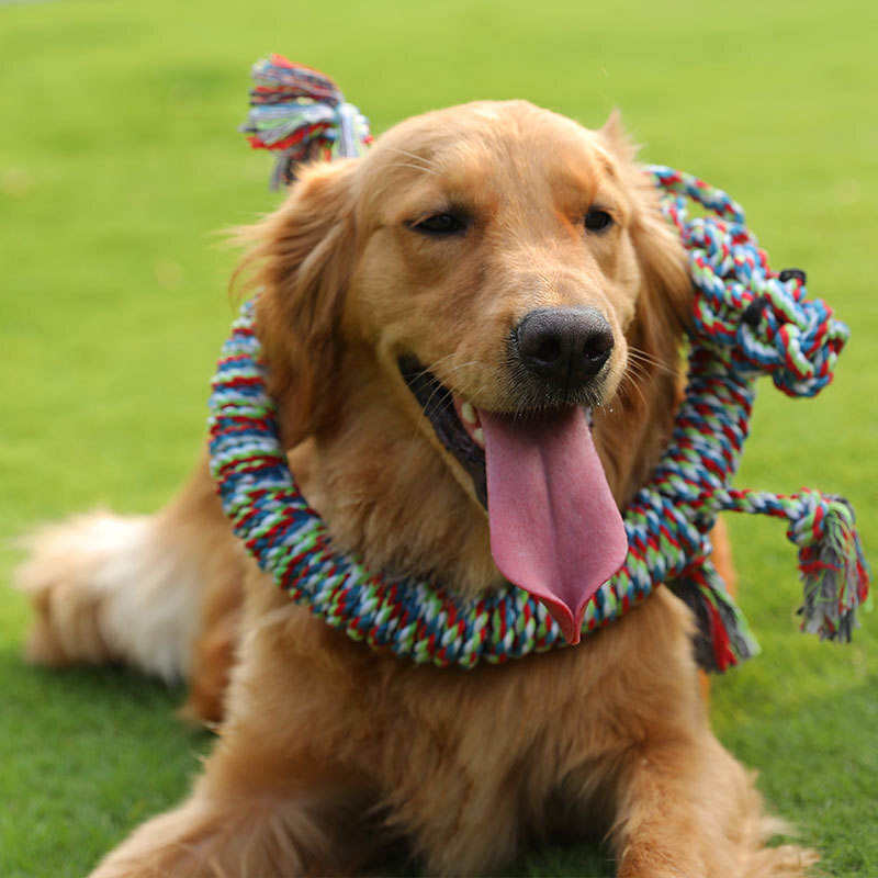 Lizard Interactive Pet Dog Accessories Cotton Rope Lizard Teeth Cleaning Durable Tug ...