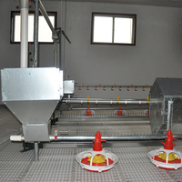 Meilleur équipement complet pour ferme avicole Projet de ligne d'alimentation pour volaille Système d'élevage automatique de poulets de chair