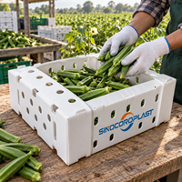 Boîte d'emballage personnalisée en plastique ondulé PP pour okra, pour le stockage des récoltes agricoles, découpée, ventilée et durable
