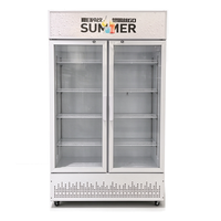 Vitrine réfrigérée verticale à 2 portes vitrées pour supermarché, présentoir de boissons commercial avec éclairage supérieur